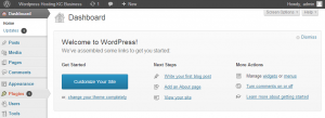 Example WordPress Dashboard